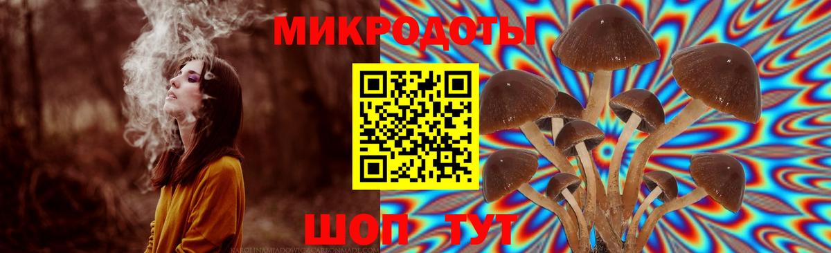 Галлюциногенные грибы прущие грибы Гурьевск